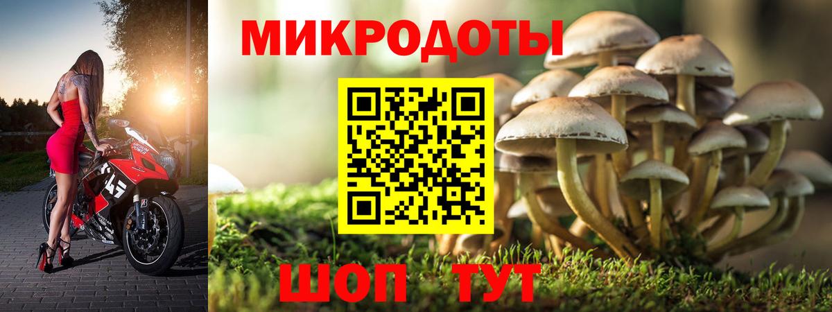 Ачинск  Псилоцибиновые грибы GOLDEN TEACHER  Псилоцибиновые грибы прущие грибы  Вход с VPN 