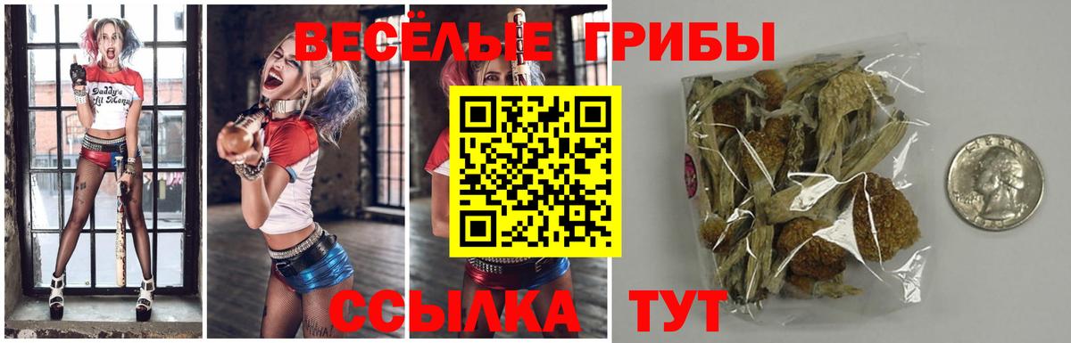 Галлюциногенные грибы мухоморы Ачинск